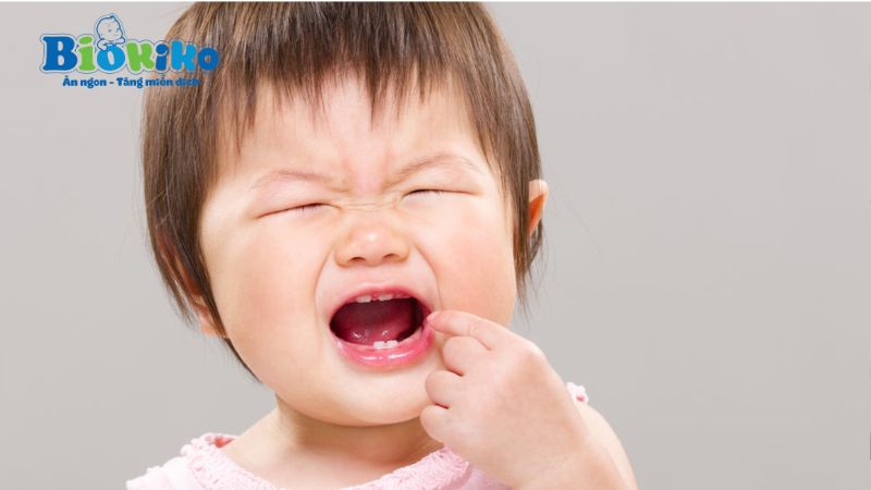 biếng ăn do trẻ mọc nướu